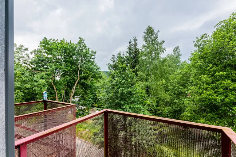 Harrachov - Semily | Sale, Apartment, One-bedroom (2+kk), 61 m²