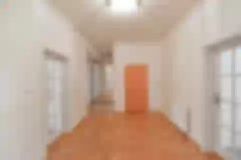 Jugoslávských partyzánů, Bubeneč - Prague 6 | Rent, Apartment, Three-bedroom (4+1), 147 m²