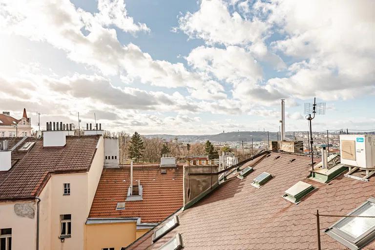 Bořivojova, Žižkov - Prague 3 | Sale, Apartment, One-bedroom (2+kk), 117 m²