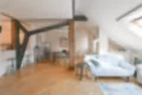 Anny Letenské, Vinohrady - Prague 2 | Sale, Apartment, Three-bedroom (4+kk), 144 m²