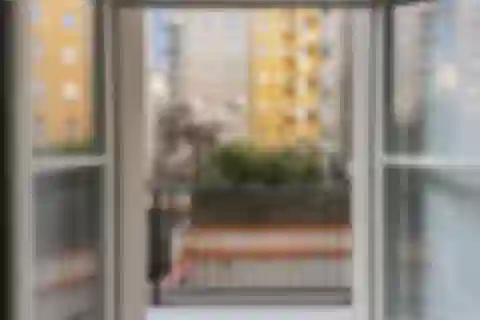 Mánesova, Vinohrady - Prague 2 | Sale, Apartment, One-bedroom (2+kk), 66 m²
