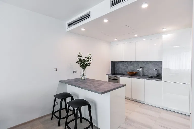 Rubešova, Vinohrady - Praha 2 | Prenájom, Byt, 2-izbový, 67 m²