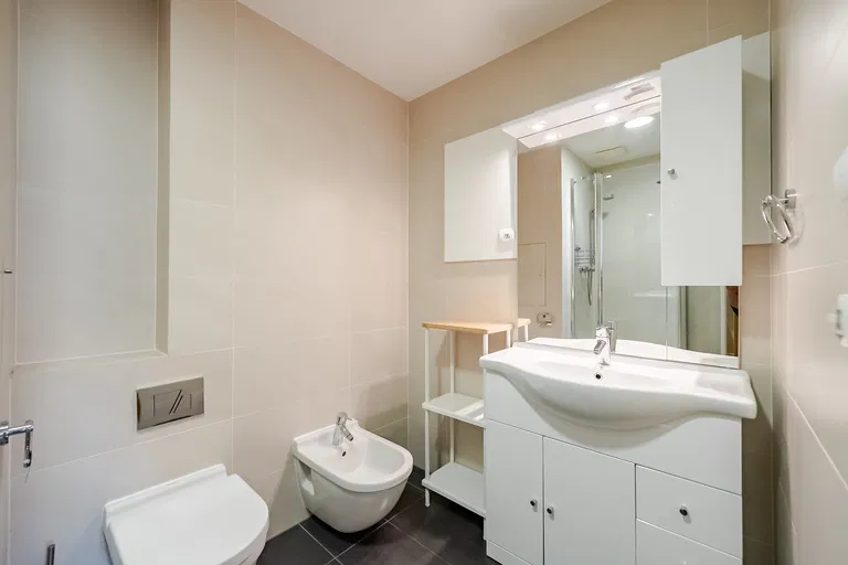 Pitterova, Žižkov - Prague 3 | Sale, Apartment, Two-bedroom (3+kk), 152 m²
