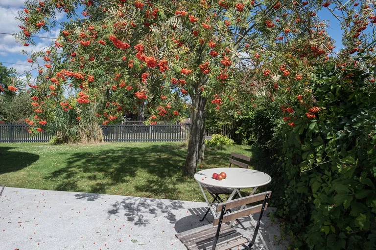 Jarkovice - Benešov | Sale, House, Five-bedroom (6+1), 209 m²