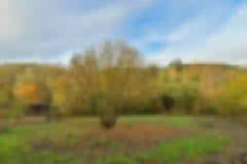 V Šáreckém údolí, Dejvice - Praha 6 | Predaj, Pozemok, 1 344 m²