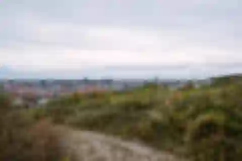 Koliba, Pod Vtáčnikom, Nové Mesto - Bratislava III | Sale, Land, 1 551 m²