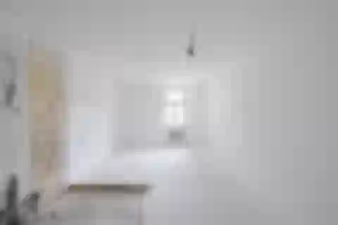 Mánesova, Vinohrady - Prague 2 | Sale, Apartment, Two-bedroom (3+kk), 156 m²