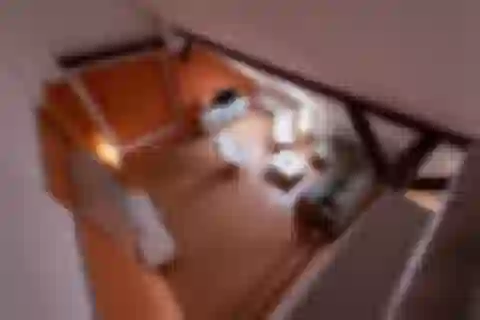 Lermontovova, Staré Mesto - Bratislava I | Predaj, Byt, 6-izbový, 257 m²