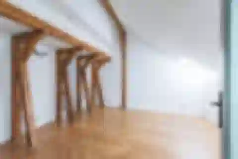 Jana Masaryka, Vinohrady - Praha 2 | Prenájom, Byt, 5-izbový, 270 m²