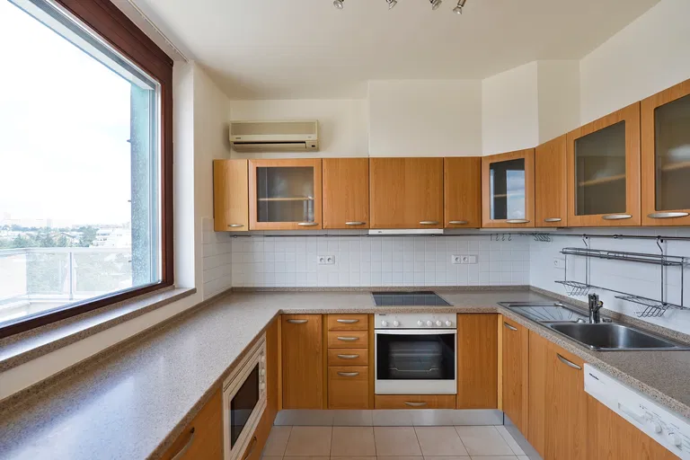 Na Zemance, Braník - Prague 4 | Rent, Apartment, Three-bedroom (4+kk), 240 m²