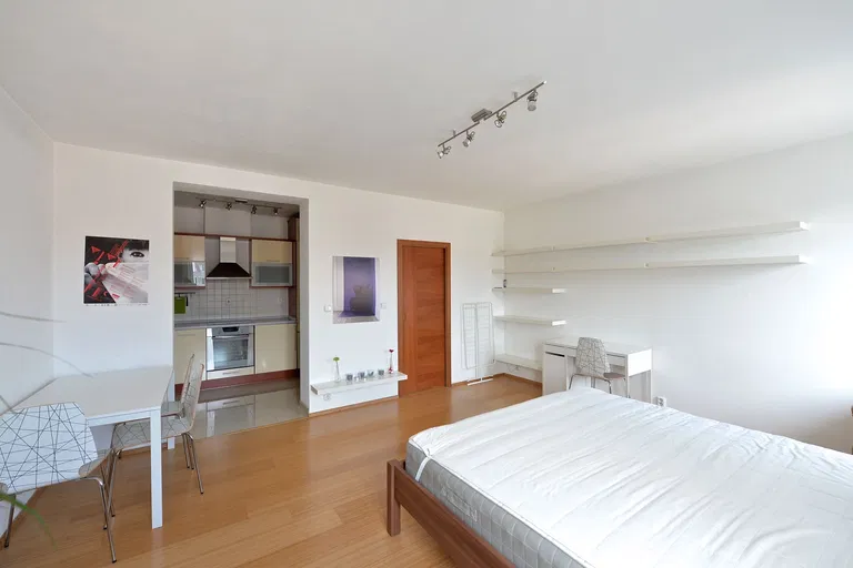 Havlíčkovo náměstí, Žižkov - Praha 3 | Prenájom, Byt, 1-izbový, 44 m²