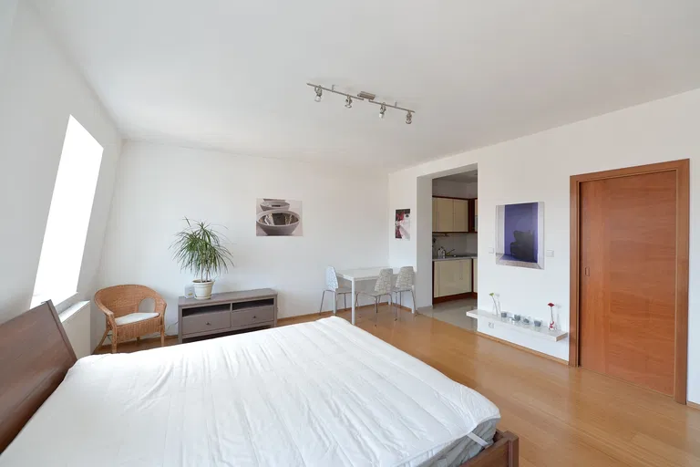 Havlíčkovo náměstí, Žižkov - Praha 3 | Prenájom, Byt, 1-izbový, 44 m²