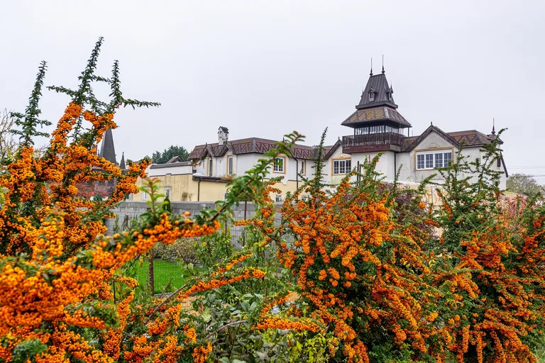 Kráľovianky, Šamorín - Dunajská Streda | Sale, House, Five-bedroom (6+1), 403 m²