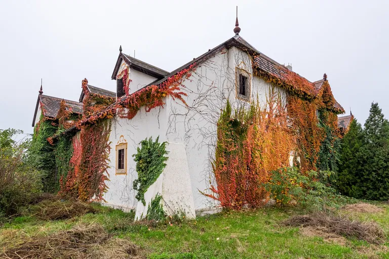 Kráľovianky, Šamorín - Dunajská Streda | Sale, House, Five-bedroom (6+1), 403 m²