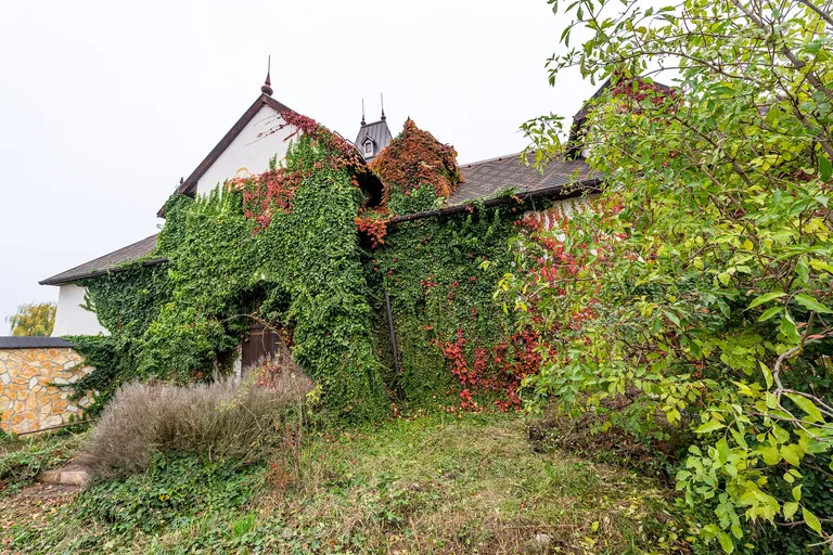 Kráľovianky, Šamorín - Dunajská Streda | Sale, House, Five-bedroom (6+1), 403 m²