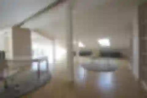 Záhřebská, Vinohrady - Prague 2 | Sale, Apartment, Three-bedroom (4+kk), 268 m²