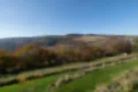 Osiky, Brno - venkov - Brno-město | Sale, House, Four-bedroom (5+kk), 227 m²