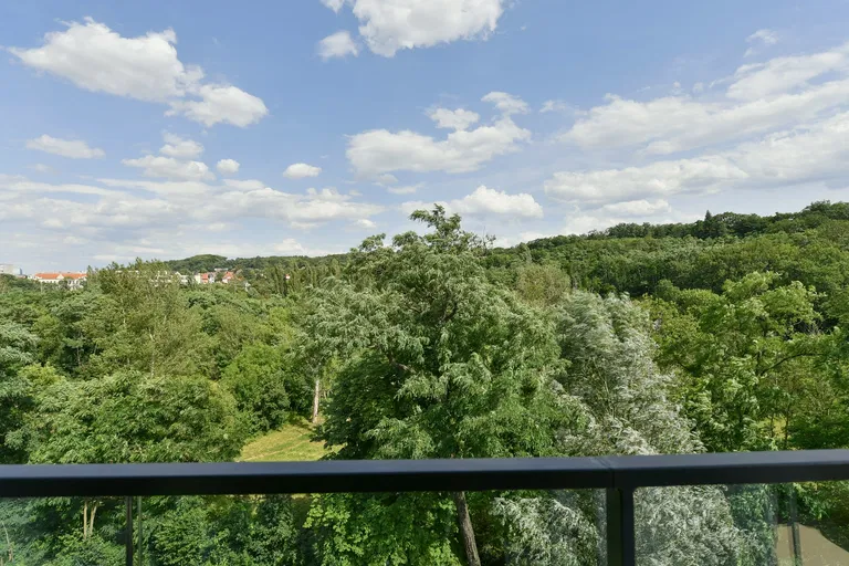 Nademlejnská, Hloubětín - Prague 9 | Sale, Apartment, Two-bedroom (3+kk), 98 m²
