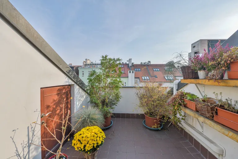 U Milosrdných, Staré Město - Prague 1 | Rent, Apartment, Three-bedroom (4+kk), 171 m²