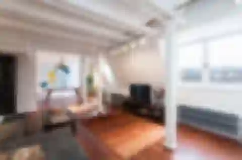 U Milosrdných, Staré Město - Prague 1 | Rent, Apartment, Three-bedroom (4+kk), 171 m²