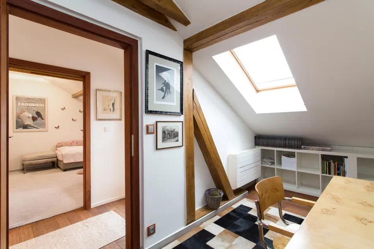 U Milosrdných, Staré Město - Prague 1 | Rent, Apartment, Three-bedroom (4+kk), 171 m²