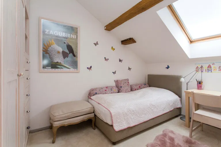 U Milosrdných, Staré Město - Prague 1 | Rent, Apartment, Three-bedroom (4+kk), 171 m²
