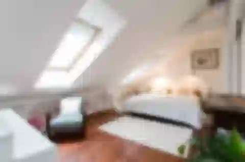 U Milosrdných, Staré Město - Prague 1 | Rent, Apartment, Three-bedroom (4+kk), 171 m²