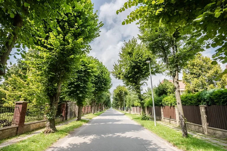 Rodovská, Klánovice - Praha 9 | Predaj, Pozemok, 1 022 m²