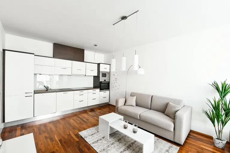 Švédská, Smíchov - Prague 5 | Sale, Apartment, One-bedroom (2+kk), 55 m²