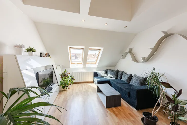 Domažlická, Žižkov - Prague 3 | Sale, Apartment, Two-bedroom (3+kk), 112 m²