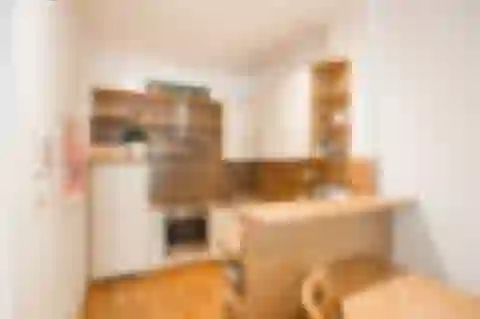 Korunní, Vinohrady - Prague 10 | Sale, Apartment, One-bedroom (2+kk), 52 m²