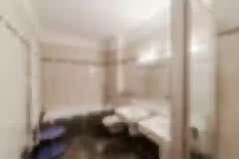 Karloveské rameno, Karlova Ves - Bratislava IV | Rent, Apartment, Two-bedroom (3+1), 145 m²
