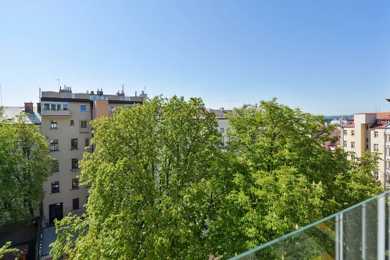 Záhřebská, Vinohrady - Prague 2 | Sale, Apartment, Four-bedroom (5+kk), 169 m²