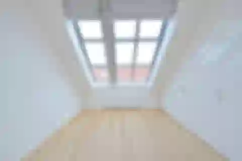 Laubova, Vinohrady - Prague 3 | Rent, Apartment, Three-bedroom (4+kk), 227 m²