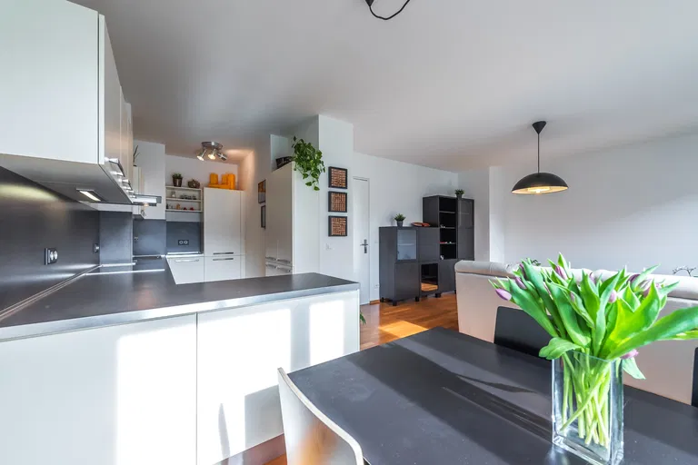 Šaldova, Karlín - Praha 8 | Prenájom, Byt, 2-izbový, 65 m²