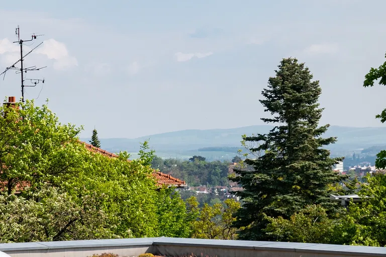 Bohuslava Martinů - Brno-město | Sale, Apartment, Two-bedroom (3+kk), 121 m²