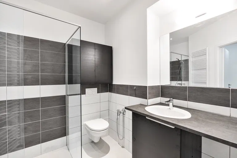 Mikuláše z Husi, Nusle - Prague 4 | Rent, Apartment, One-bedroom (2+kk), 53 m²