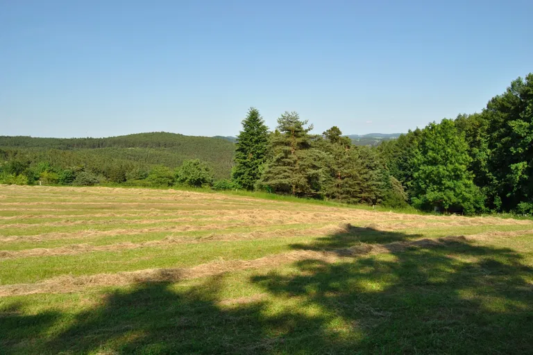 Zadní Háje - Příbram | Predaj, Pozemok, 6 537 m²
