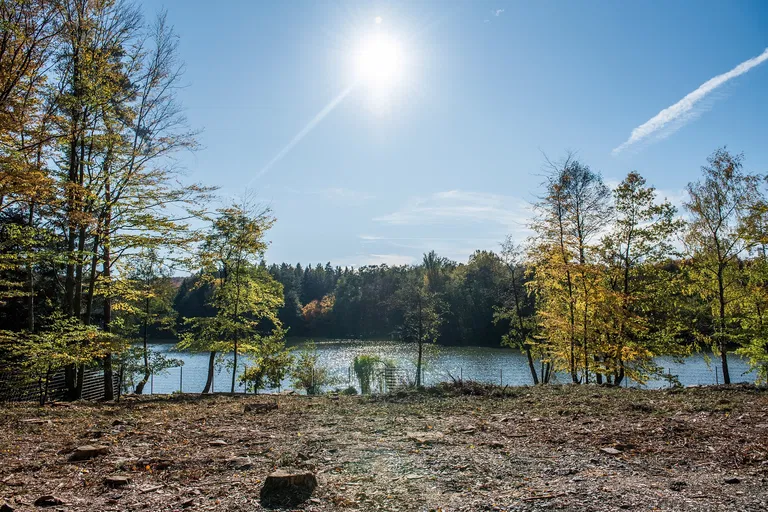 Vyžlovka - Praha-východ | Predaj, Pozemok, 6 541 m²