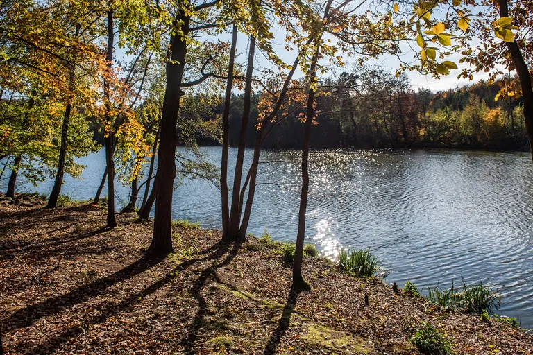 Vyžlovka - Praha-východ | Predaj, Pozemok, 6 541 m²