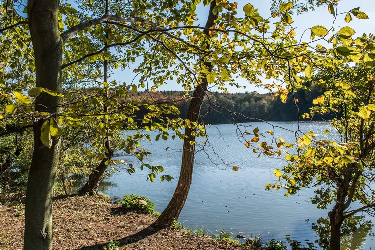 Vyžlovka - Praha-východ | Predaj, Pozemok, 6 541 m²