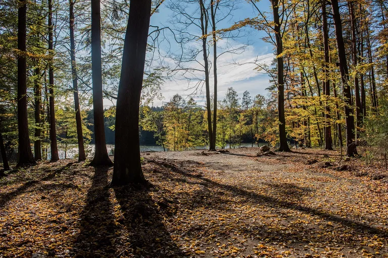 Vyžlovka - Praha-východ | Predaj, Pozemok, 6 541 m²