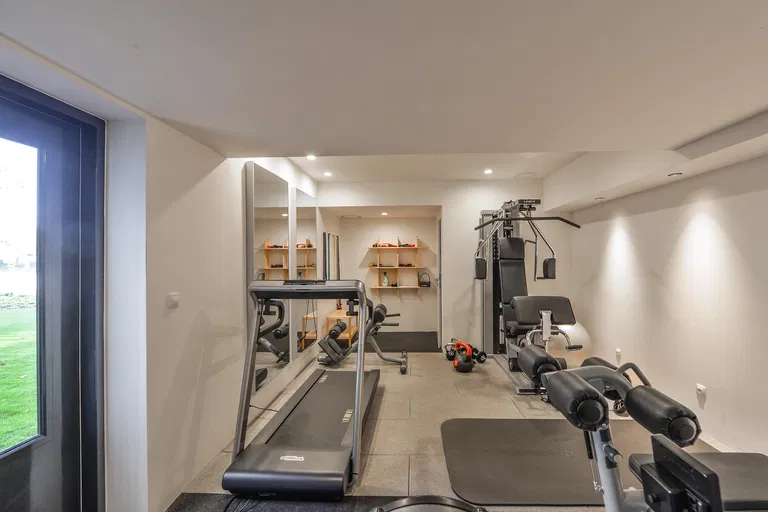 Sanderova, Holešovice - Prague 7 | Sale, Apartment, Four-bedroom (5+kk), 523 m²