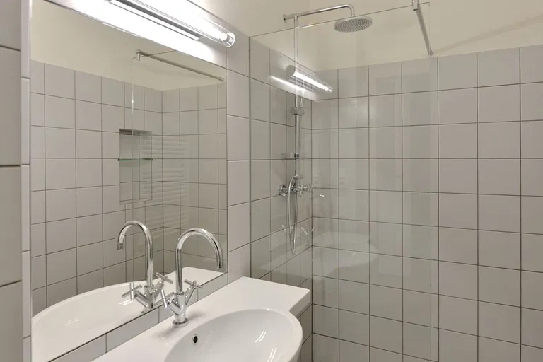 Na Švihance, Vinohrady - Praha 2 | Prenájom, Byt, 2-izbový, 83 m²
