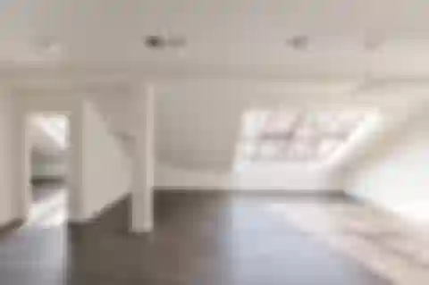 Štursova, Bubeneč - Praha 6 | Prenájom, Byt, 3-izbový, 153 m²