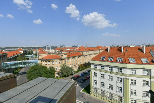 Studentská, Dejvice - Prague 6 | Rent, Apartment, Three-bedroom (4+kk), 123 m²