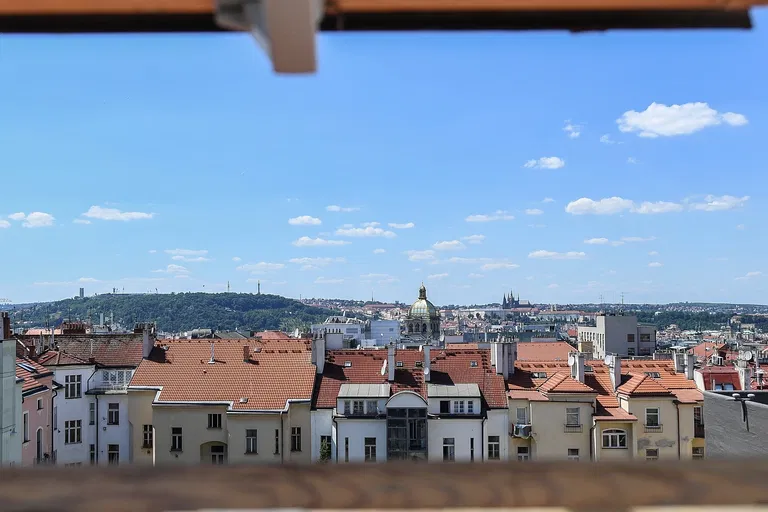 Anny Letenské, Vinohrady - Prague 2 | Rent, Apartment, Three-bedroom (4+kk), 119 m²