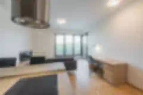 Sanderova, Holešovice - Prague 7 | Rent, Apartment, One-bedroom (2+kk), 55 m²