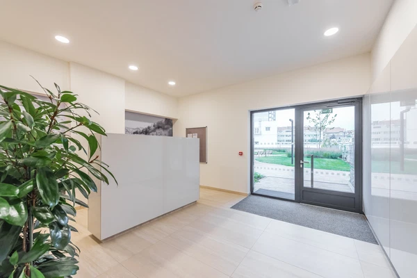 Sanderova, Holešovice - Praha 7 | Pronájem, Byt, 2+kk, 55 m²