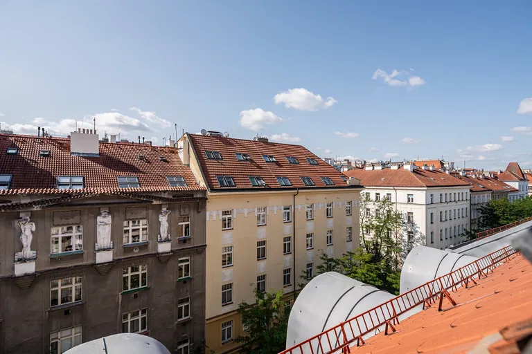 Jagellonská, Žižkov - Prague 3 | Rent, Apartment, Three-bedroom (4+kk), 204 m²